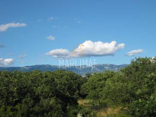 Novalja, Potocnica