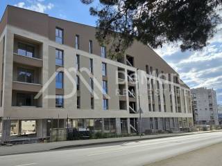Zadar, Zadar