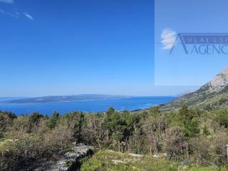 Baska voda, Bast
