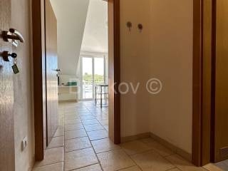 Detached house, Sale, Korčula, Račišće