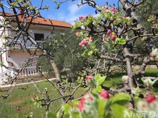 Obiteljska kuca, Prodaja, Vir, Vir