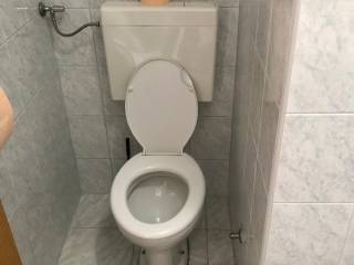 Obiteljska kuca, Prodaja, Vir, Vir