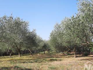 Gradjevinsko zemljiste, Prodaja, Novigrad, Pridraga