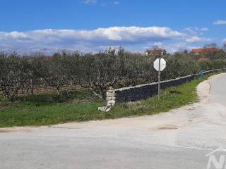 Gradjevinsko zemljiste, Prodaja, Novigrad, Pridraga