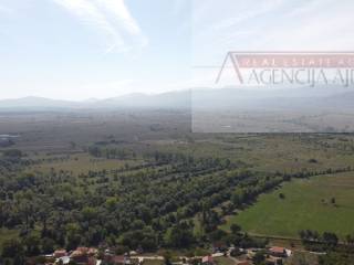 Imotski, Imotski