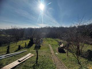 Zagreb, Maksimir