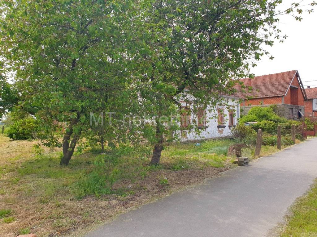 Bjelovar, Bjelovar