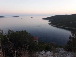 Marina, Vinisce