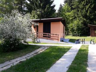 Berek, Podgaric