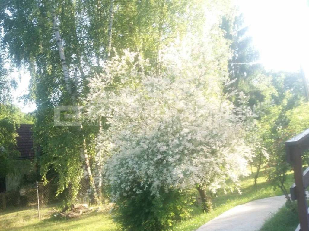 Berek, Podgaric