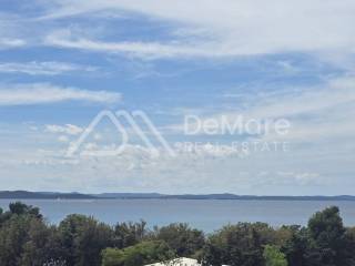 Zadar, Zadar