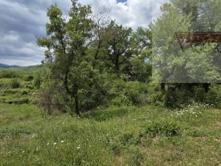 Imotski, Imotski