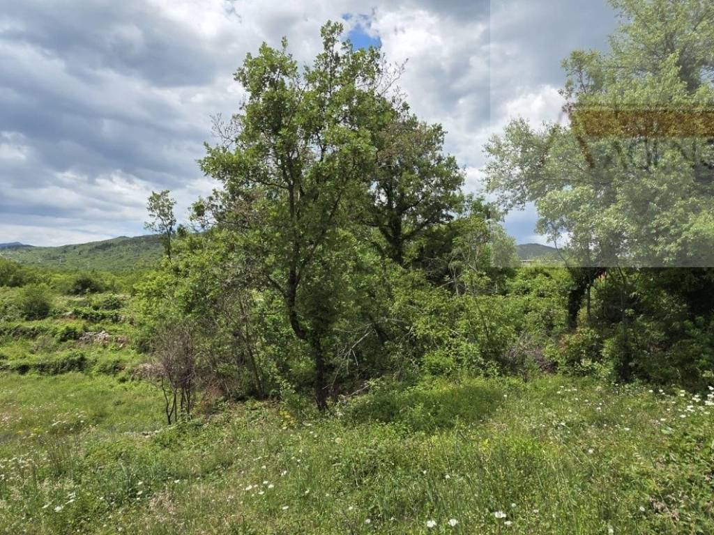 Imotski, Imotski