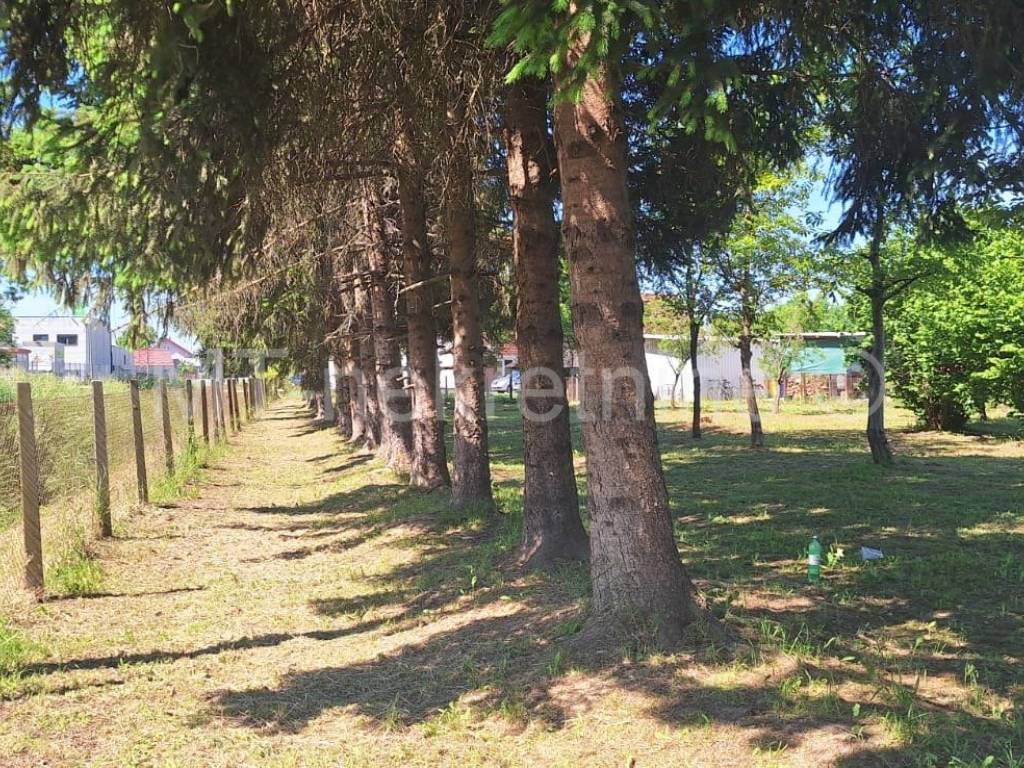 Vrbovec, Lonjica