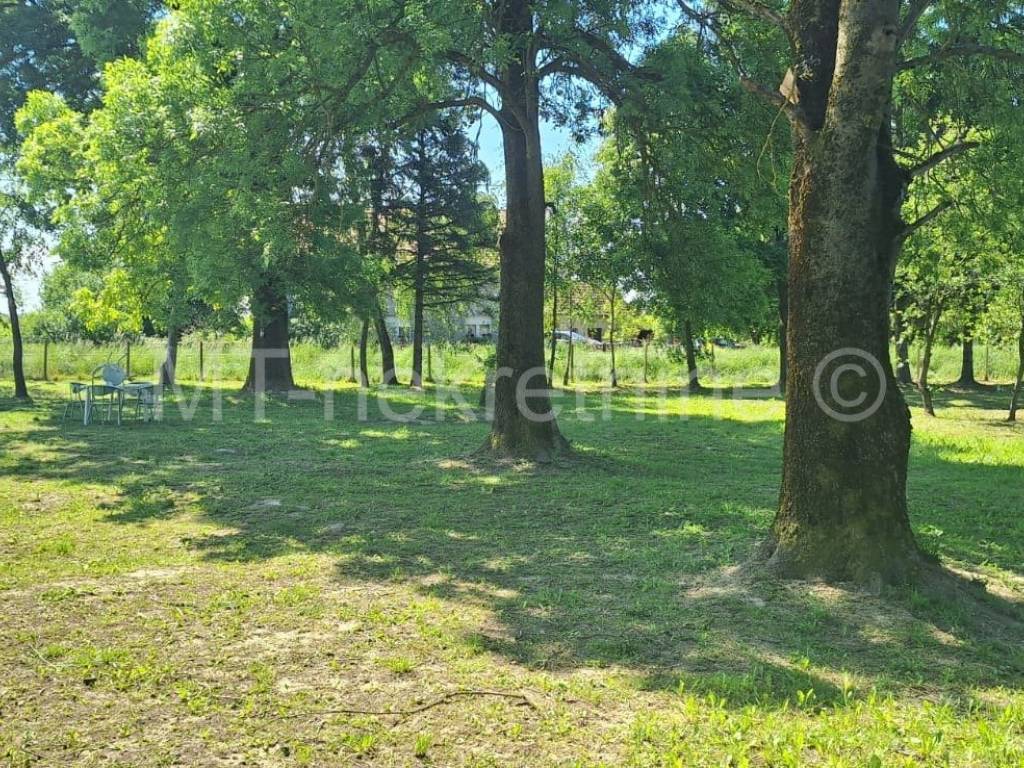 Vrbovec, Lonjica