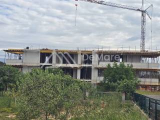 Zadar, Zadar