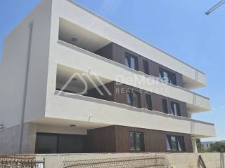 Zadar, Zadar