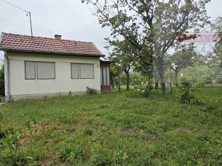 Draz, Batina