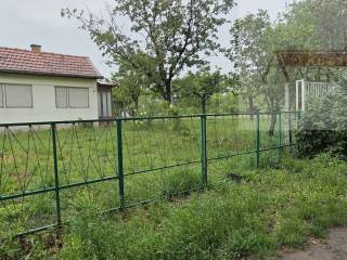 Draz, Batina