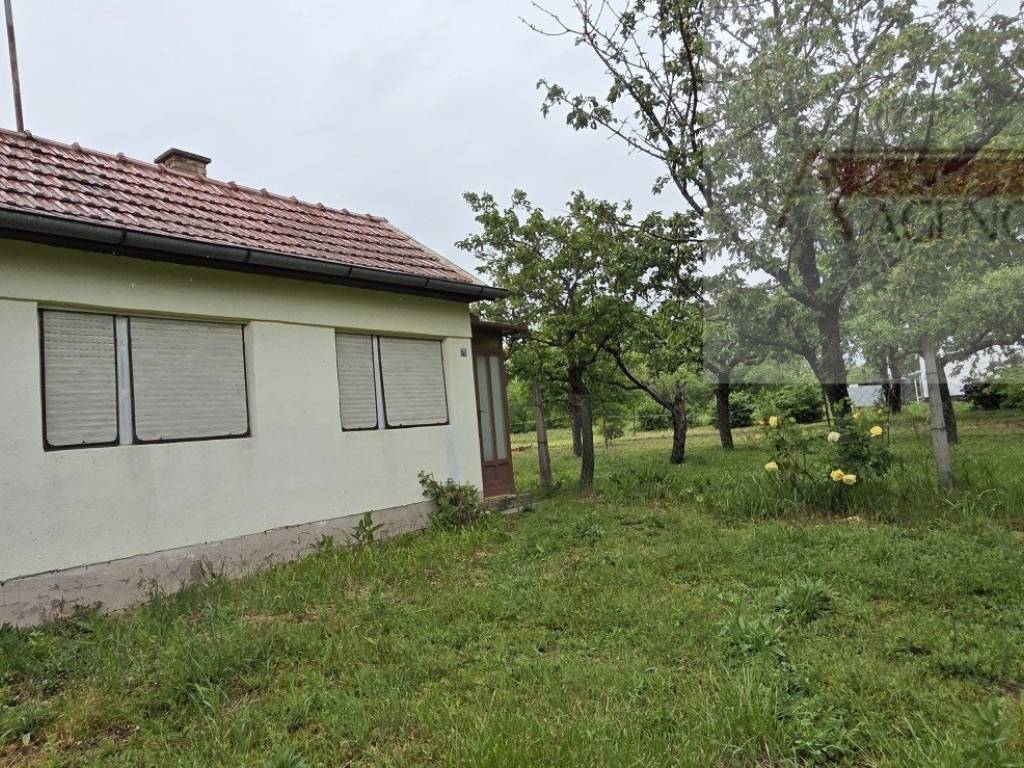 Draz, Batina