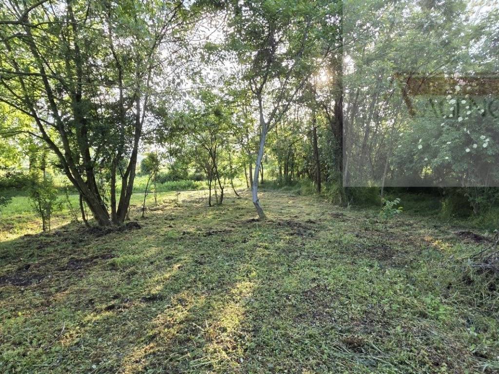 Draz, Podolje