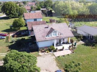 Knezevi vinogradi, Knezevi Vinogradi