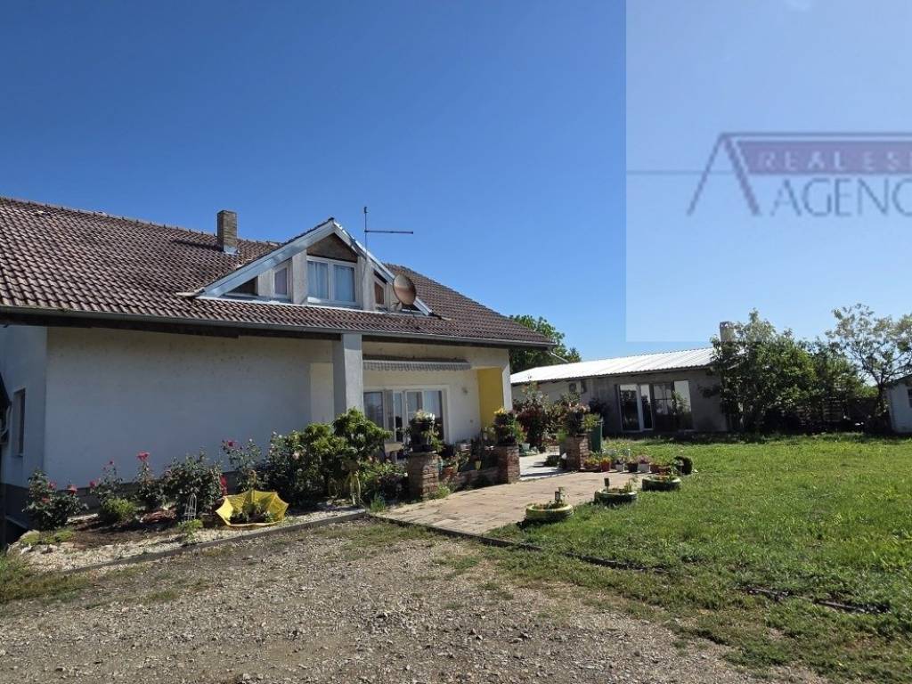 Knezevi vinogradi, Knezevi Vinogradi