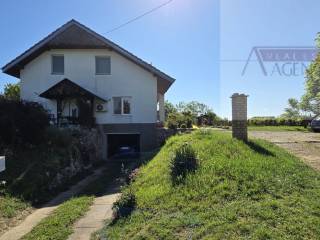 Knezevi vinogradi, Knezevi Vinogradi