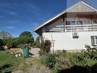 Knezevi vinogradi, Knezevi Vinogradi