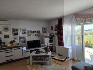 Knezevi vinogradi, Knezevi Vinogradi