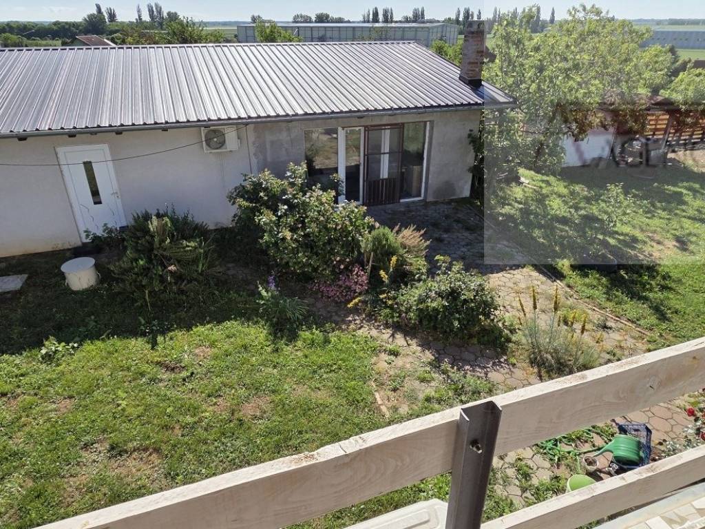 Knezevi vinogradi, Knezevi Vinogradi