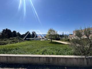 Zadar, Zadar
