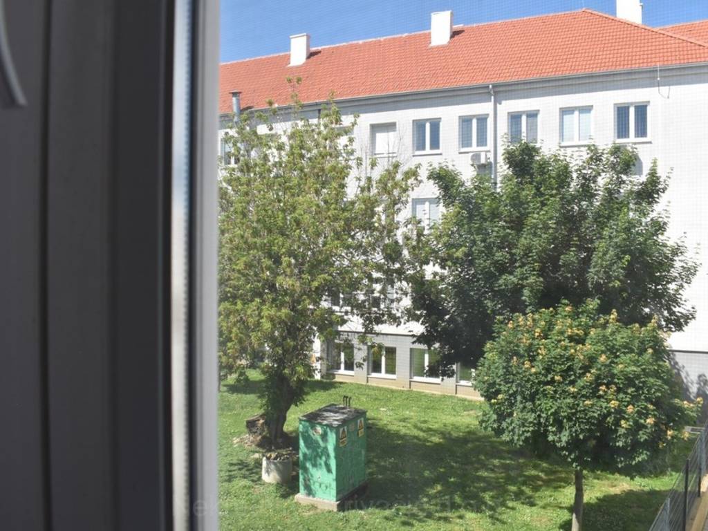 Bjelovar, Bjelovar