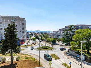 Zadar, Zadar