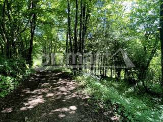 Vrbovsko, Gomirje