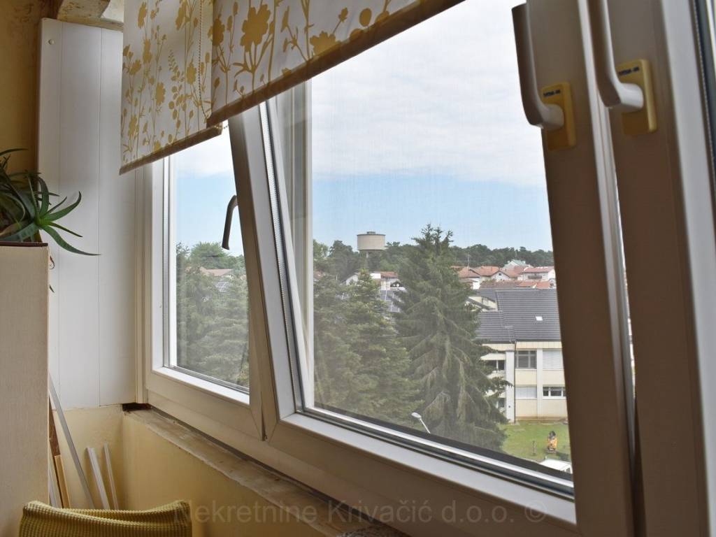 Bjelovar, Bjelovar