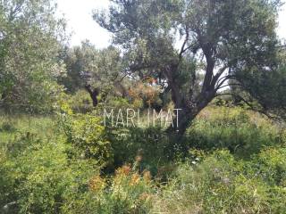 Agricultural plot, Sale, Novalja, Novalja