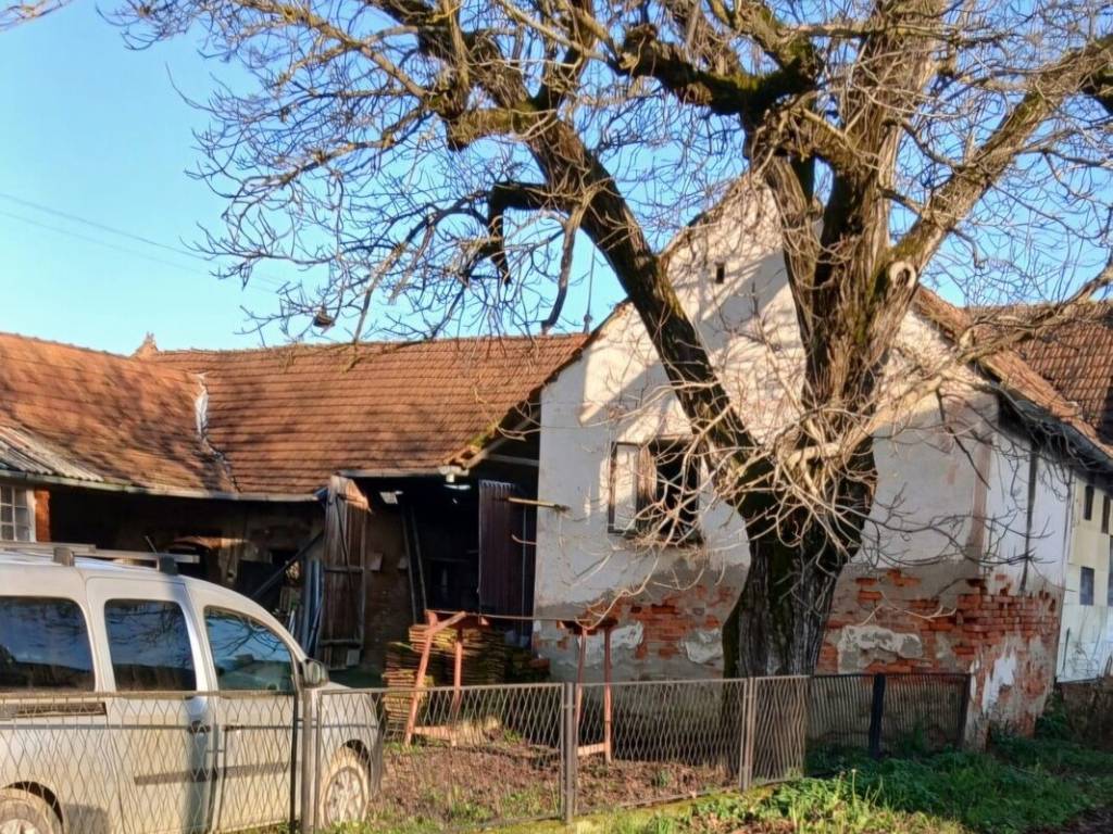 Farkasevac, Zabnica