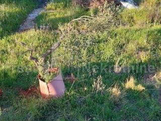 Plot for construction, Sale, Tribunj, Tribunj