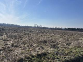 Jakovlje, Jakovlje