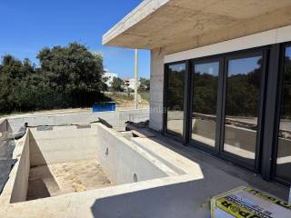 Zadar - Okolica, Petrcane