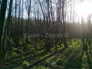 Poljoprivredno, Prodaja, Fuzine, Lic
