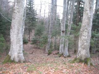 Poljoprivredno zemljiste, Prodaja, Delnice, Delnice