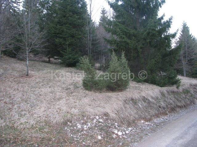 Poljoprivredno zemljiste, Prodaja, Delnice, Delnice