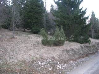 Poljoprivredno zemljiste, Prodaja, Delnice, Delnice