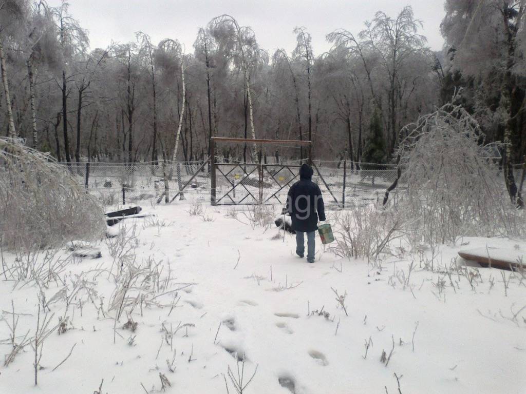 Poljoprivredno, Prodaja, Fuzine, Lic