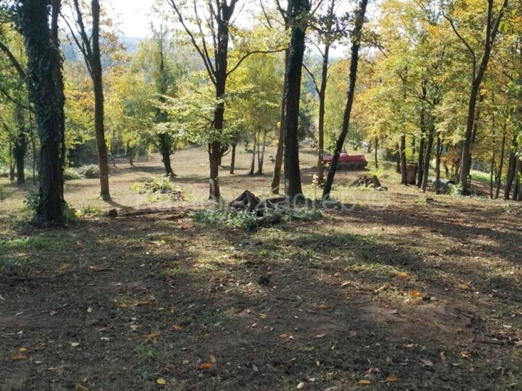 Donja Stubica, Donja Stubica