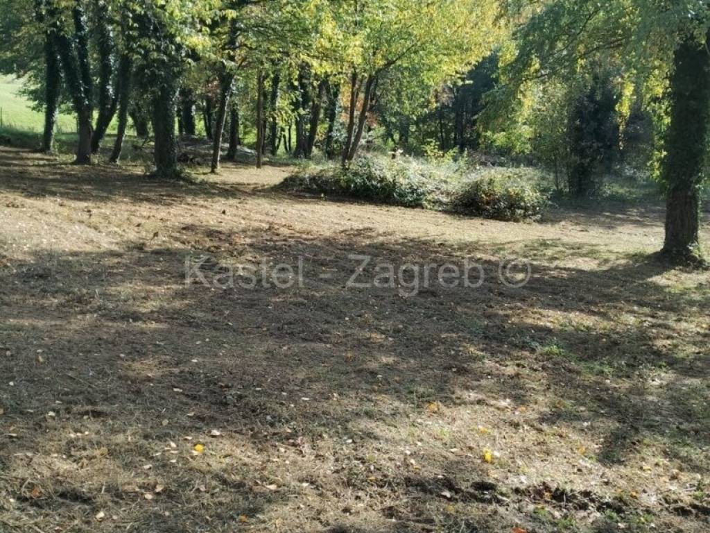 Donja Stubica, Donja Stubica