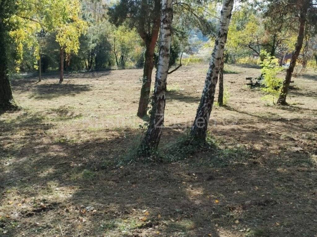 Donja Stubica, Donja Stubica