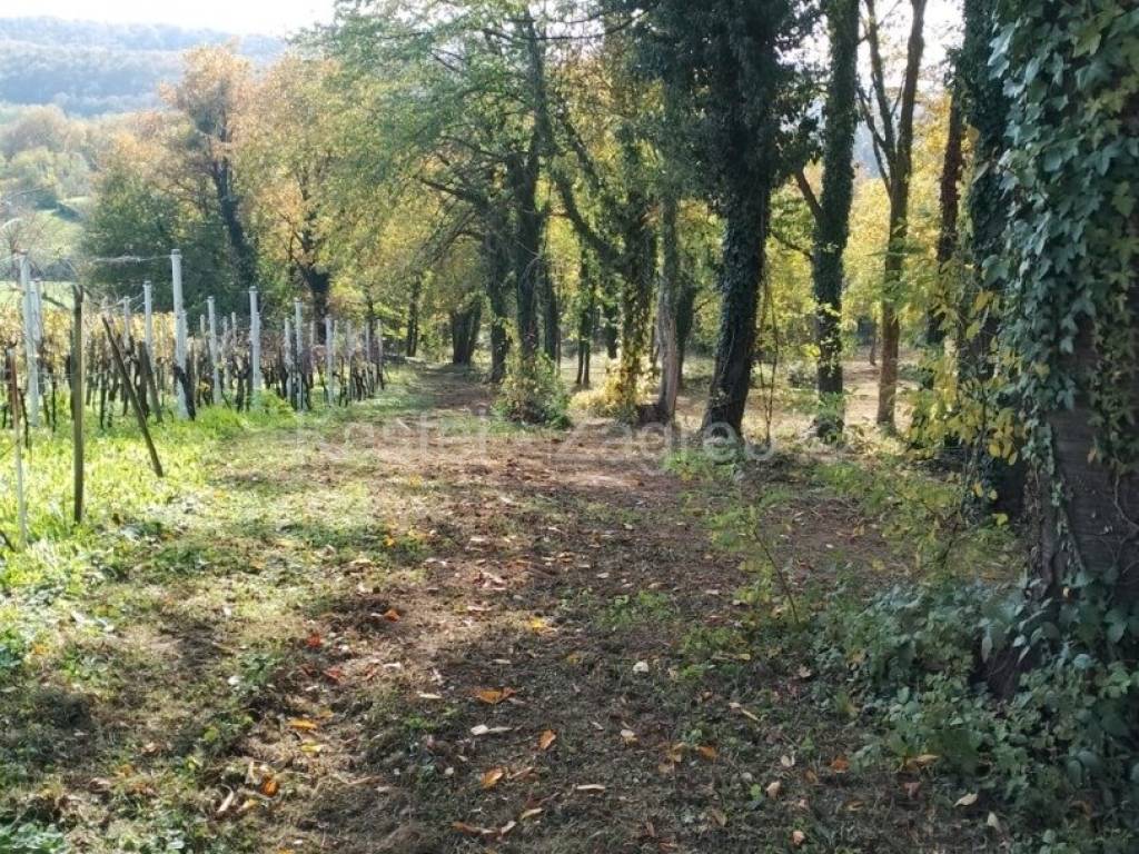 Donja Stubica, Donja Stubica